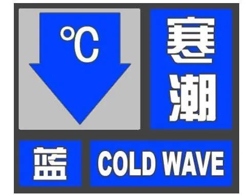 自行车配件 第259页