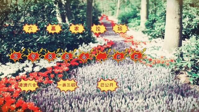 一肖一码一必中一肖,数据解释说明规划_YGO9.577精选版