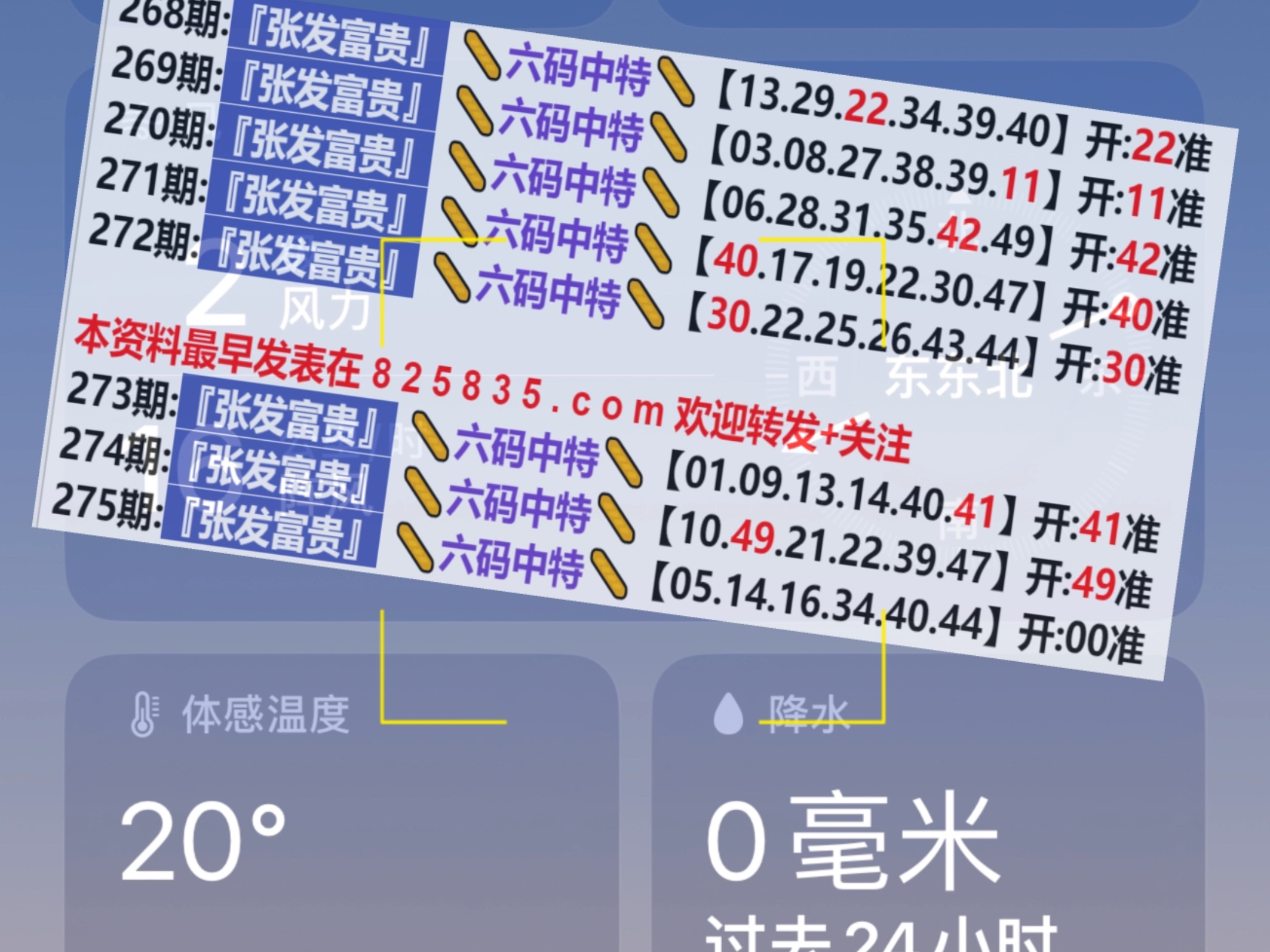新奥门开奖记录,实地研究解答协助_BYU9.143体验版