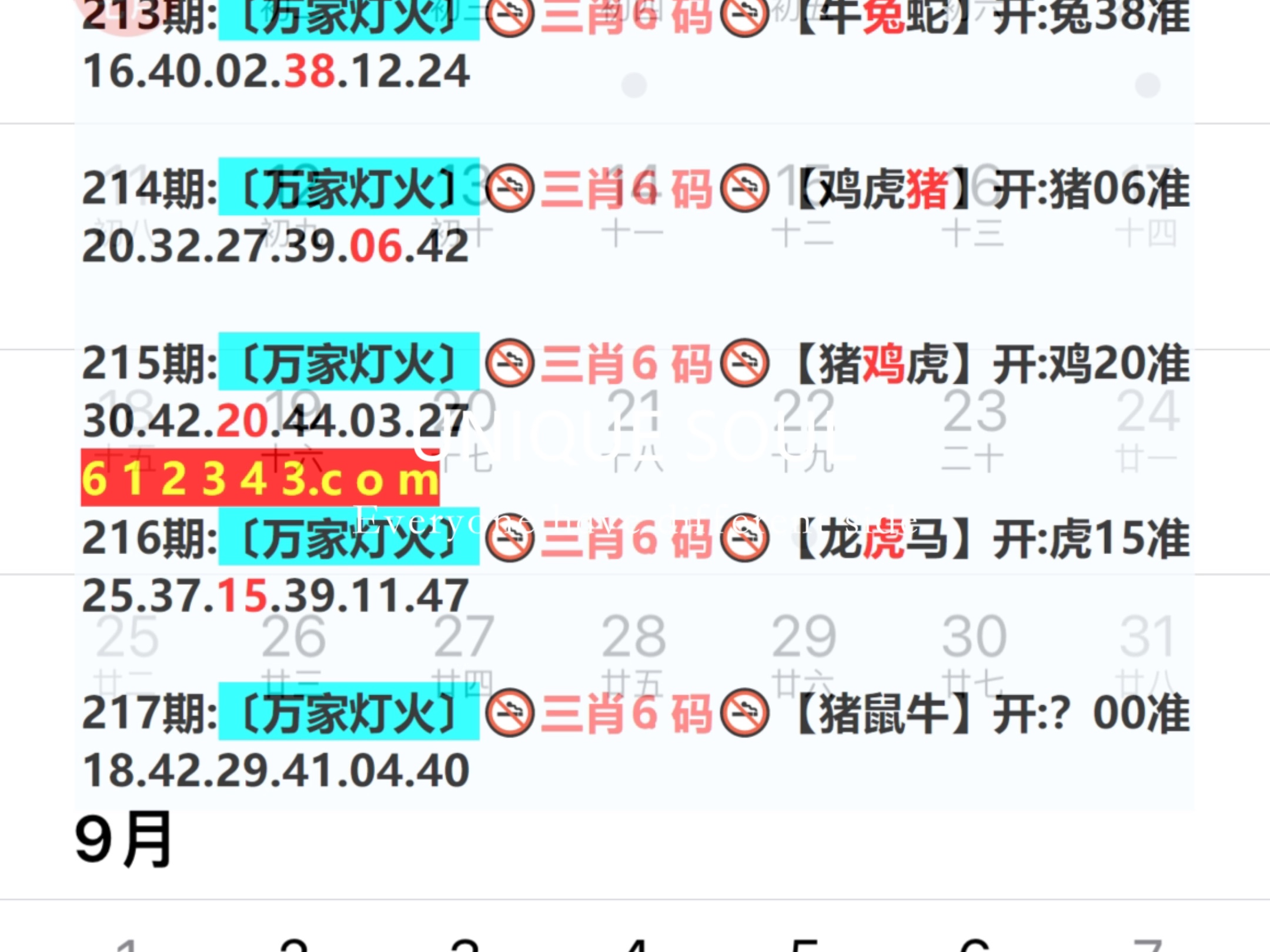 货物进出口 第244页