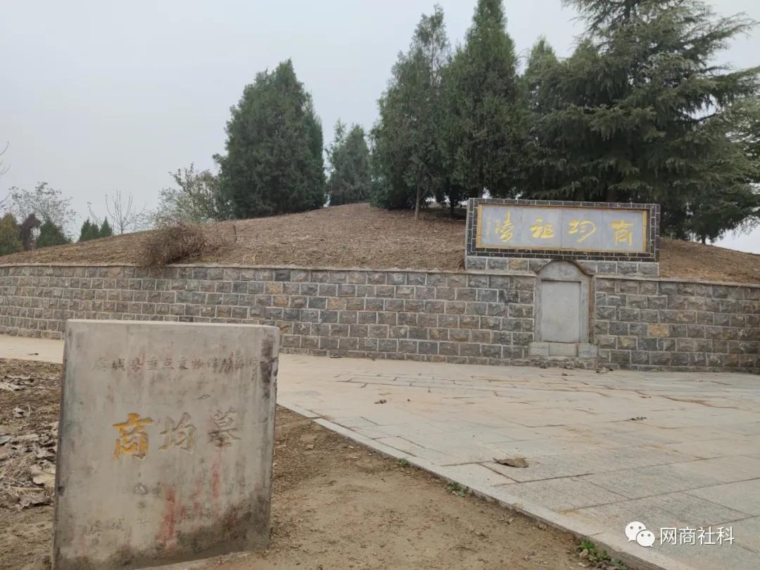 货物进出口 第229页