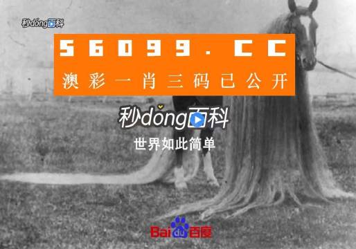货物进出口 第176页