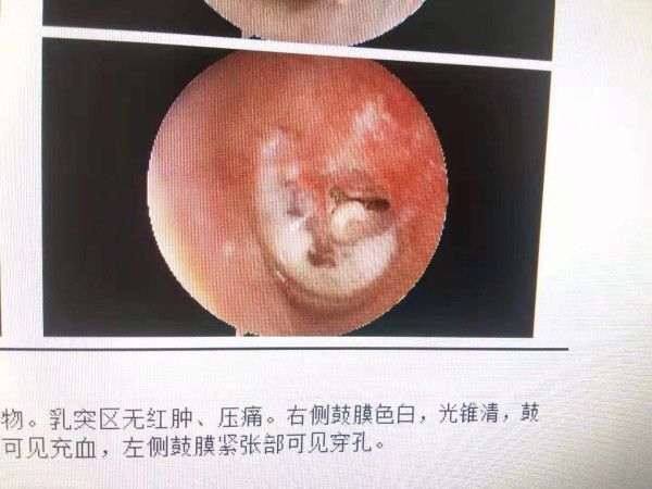 电器配件的生产销售 第205页