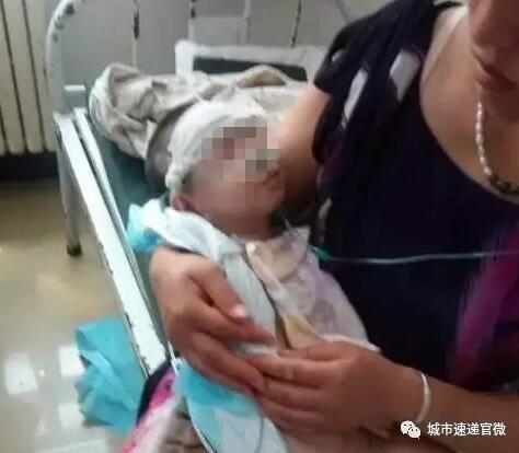 货物进出口 第117页