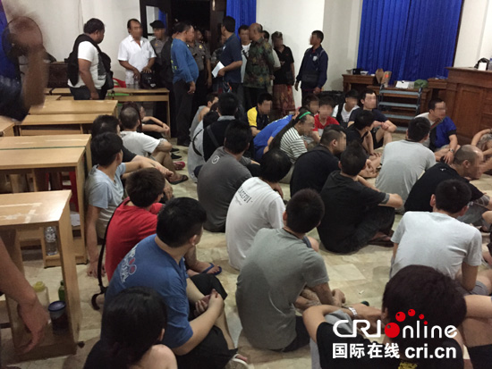 广东最新诈骗案破获全解析，防范与应对步骤指南