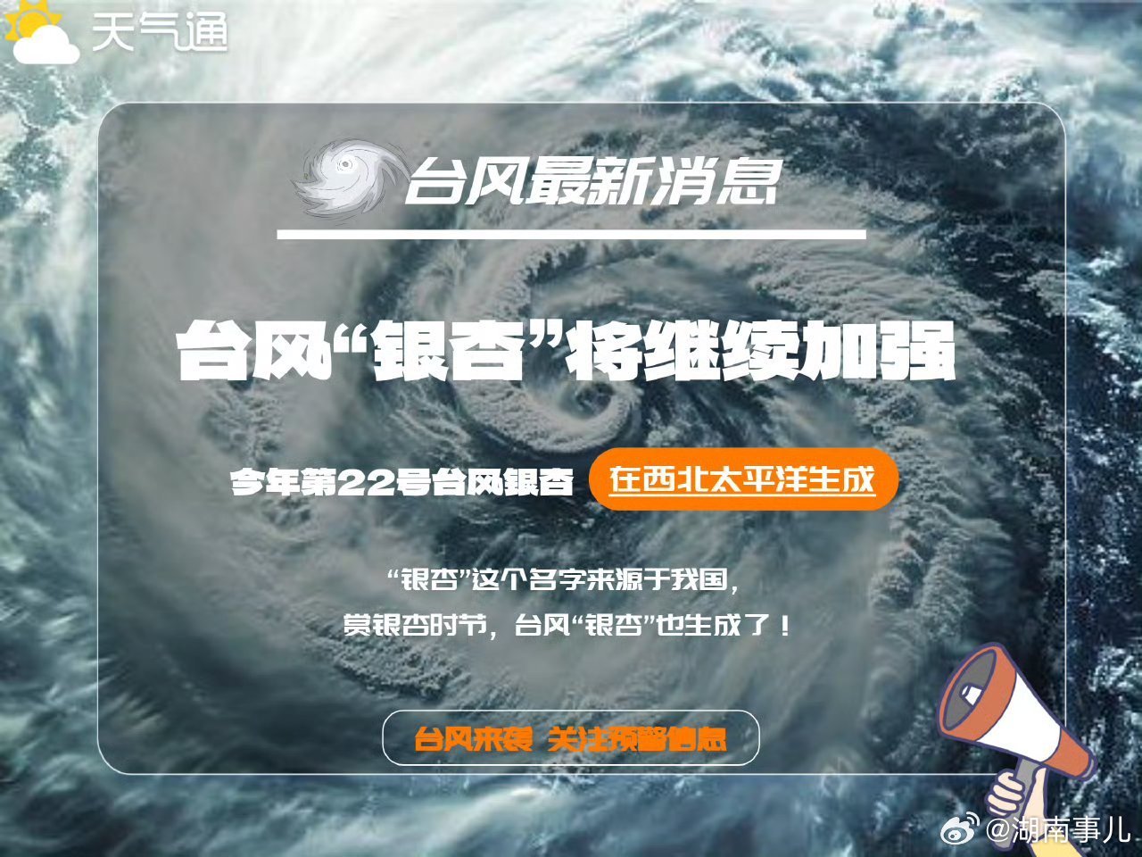 温暖台风最新动态及小巷深处的独特风味