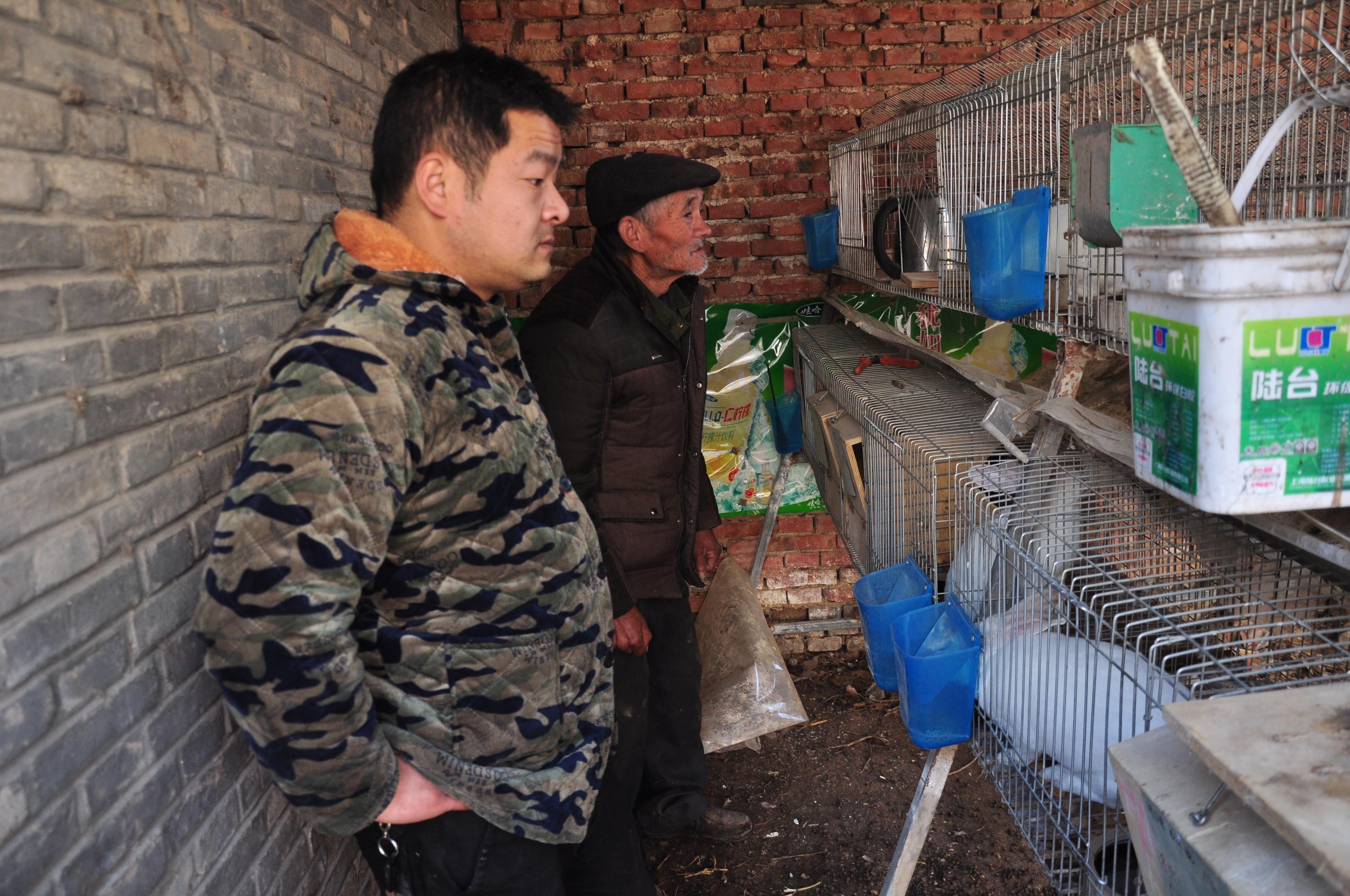 农村兵最新动态，时代见证与力量的凝聚